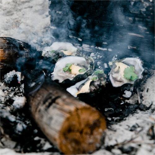 Fresh oysters grilling on smoky wood logs topped with melted butter and herbs